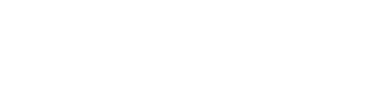 solidproof shield