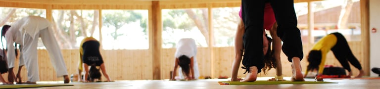Group yoga class, yogis in downward facing dog.