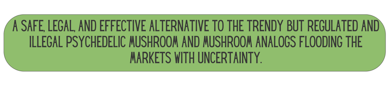 Mane Brain™ offers premium mushroom-based wellness products designed to support focus, memory,.