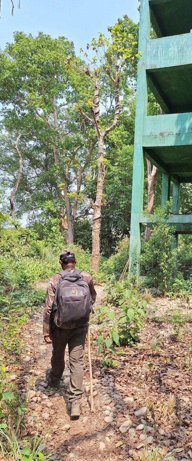 Daman near observation tour in Bardiya