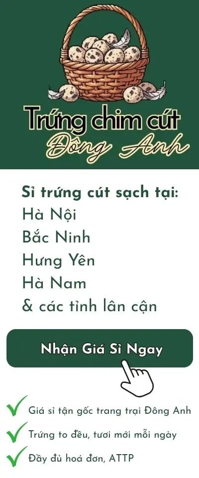 banner trung chim cut sach gia si tan goc Dong Anh