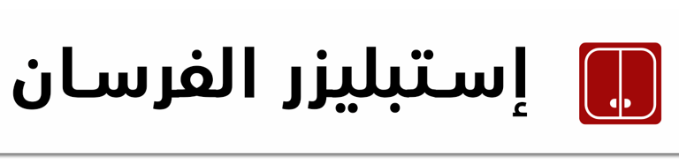 استبليزر الفرسان