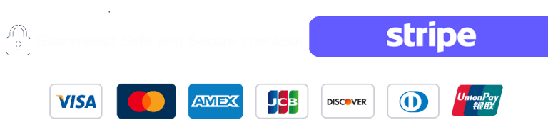 stripe payment gateway