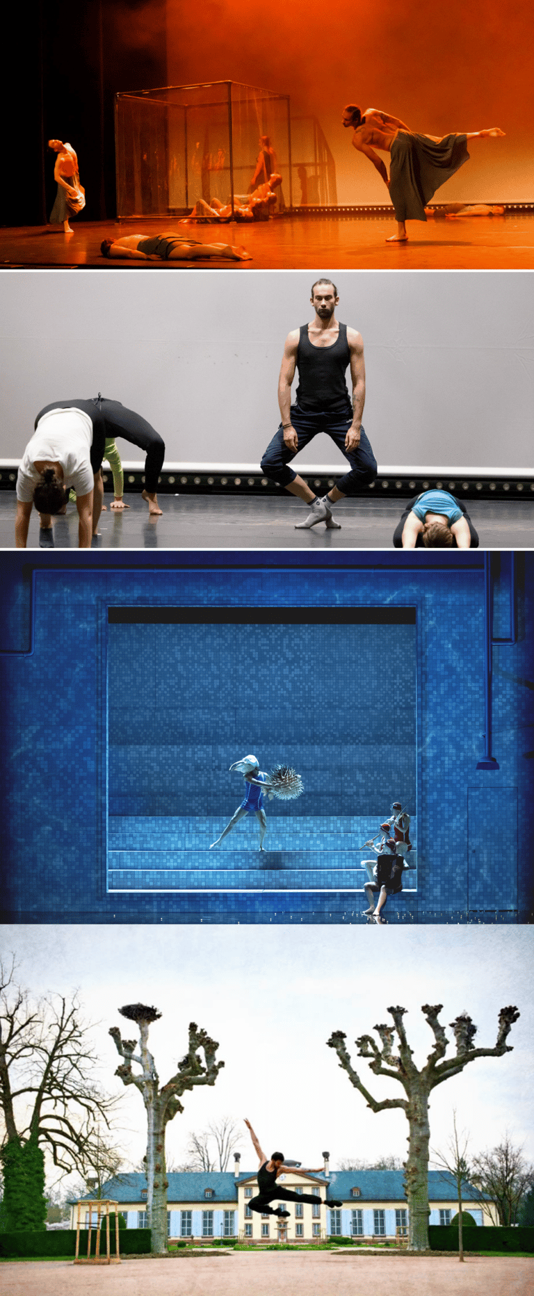Danses de Florentin Poulain