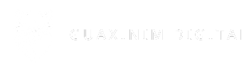 Logo em branco com fundo transparente da Guaxinim Digital, com o ícone e o texto