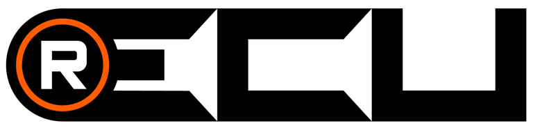 LOGO RECUAUTO repro chiptuning  remap ECU