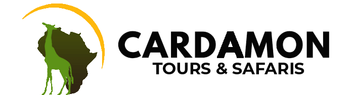Cardamon Tours and Safaris Zanzibar – expert travel company offering Zanzibar tours, safaris, and holiday packages