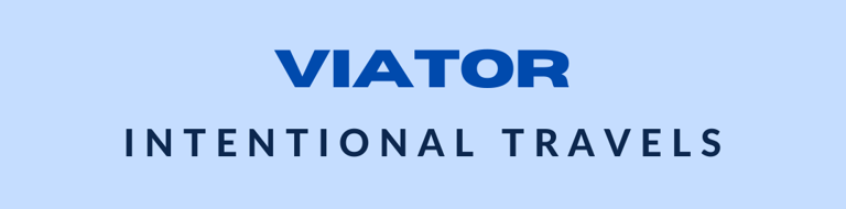 a plane with the words viator international travel