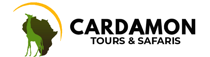 Cardamon Tours and Safaris Zanzibar – expert travel company offering Zanzibar tours, safaris, and holiday packages
