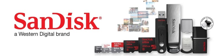 SanDisk Product Family Pen Drive, Flash drive, Memory Cards