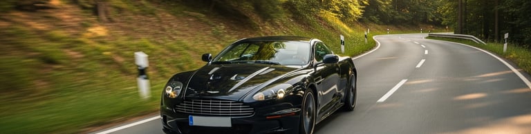 aston martin in the black forest
