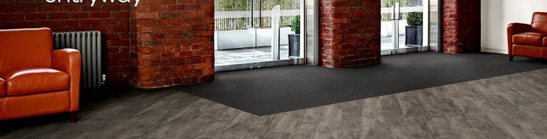 įėjimo kiliminė sistema