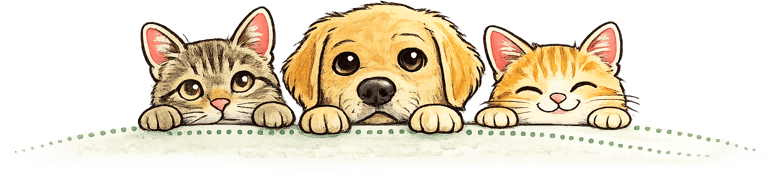 a dog and a cat are sitting on a table