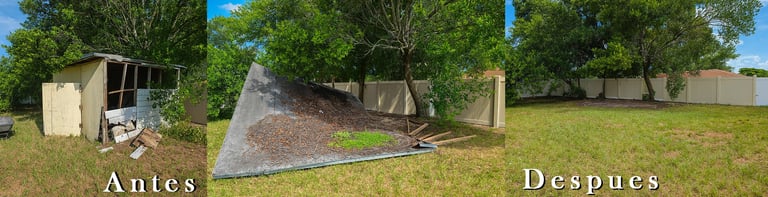 Junk Removal Tampa