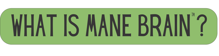 Mane Brain™ offers premium mushroom-based wellness products designed to support focus, memory,.