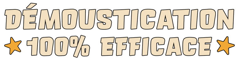 Affiche démoustication 100% efficcae