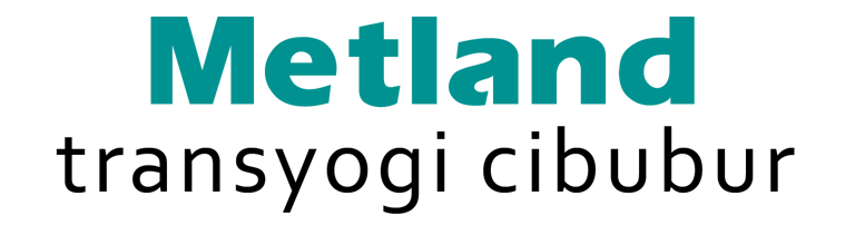 walden - metland transyogi - viralink