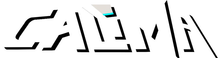 Project Calima Ducati V4 Frame Logo