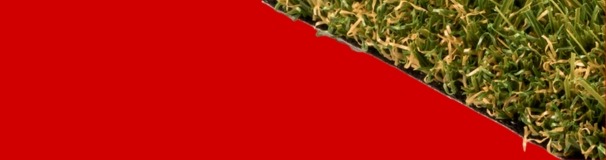 Gazon synthétique 20mm milo, petite taille mais grande possibilité