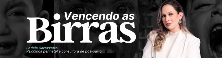 Ebook - Vencendo as Birras