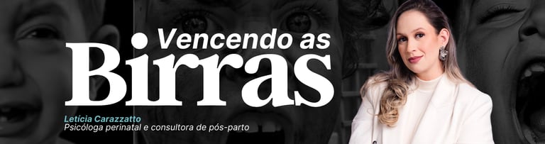 Ebook - Vencendo as Birras