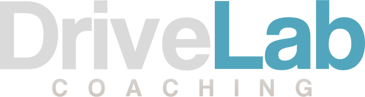 drivelab-logo