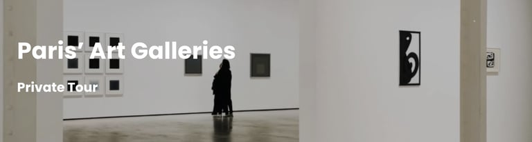 Henri Robert privateguideinparis Galeries tour