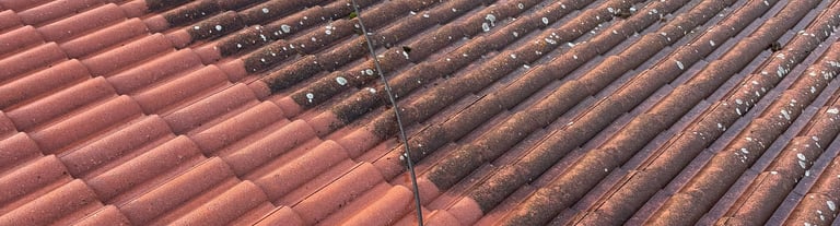 demoussage toiture lyon