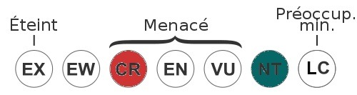 echelle-statut-menacé-requins
