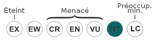 statu-uicn-requin-pointe-noire