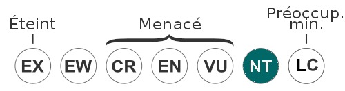 statut-espece-menace-requin-groenland