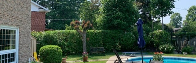 Backyard patio with an inground swimming pool, lounge chairs, and lush green landscaping.