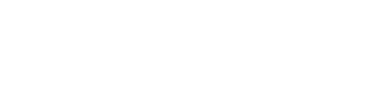 Primary Logo White - Paperin