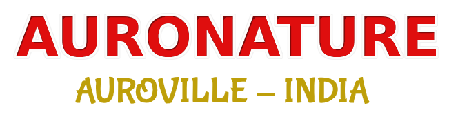Auronature Auroville India logo in bold red and gold typography on a transparent background.