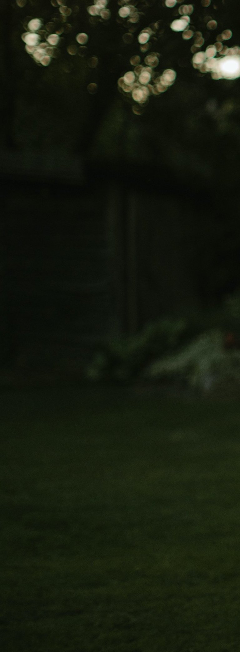 labai tamsios žalios spalvos fonas