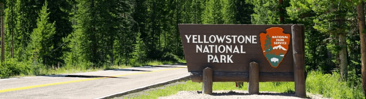 Yellowstone National Park, one of the best US National Parks for Summer 2025