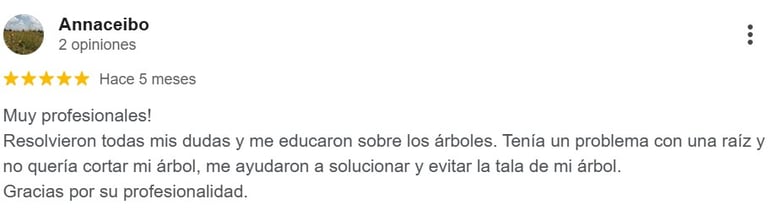 Recomendación del servicio de arboricultura fuentes destacando la profesionalidad 