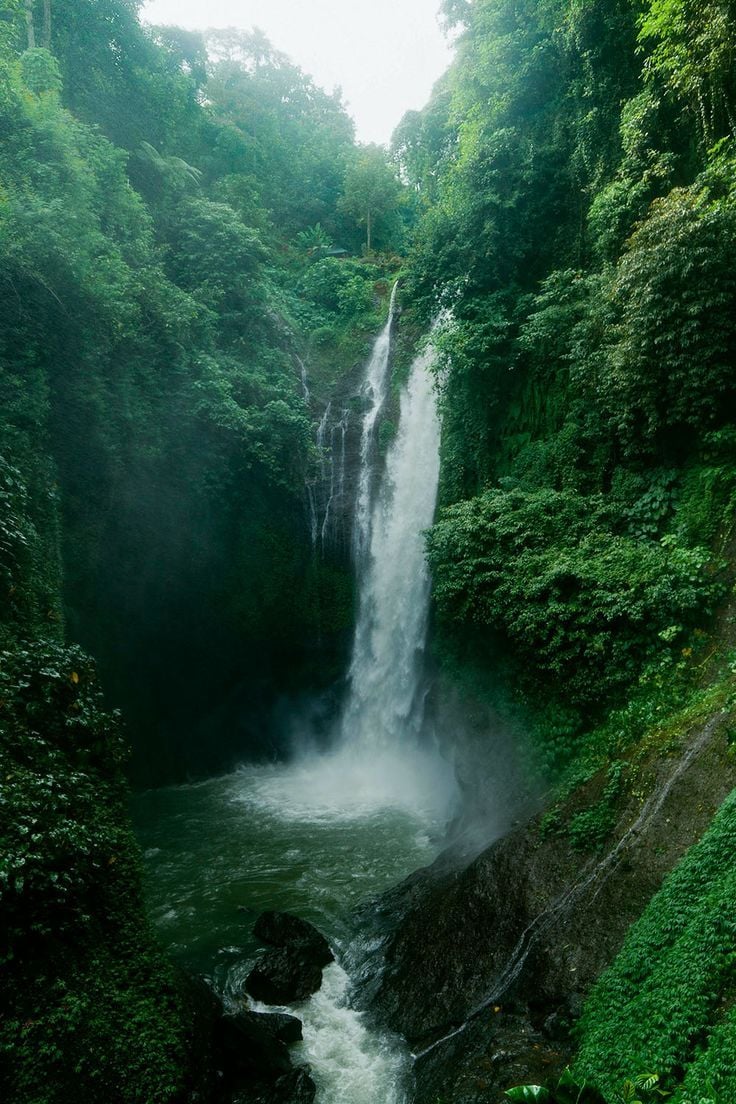 cascade en Forêt, l'eau régénère la nature.
