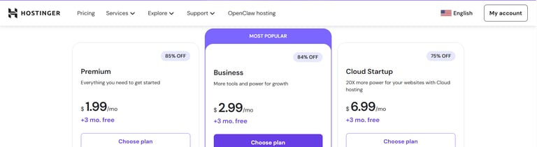 online software hostinger pricing review