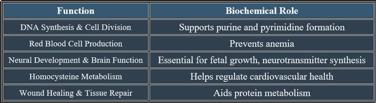 Folic acid Functions
