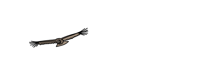 Flying Condor Illustration