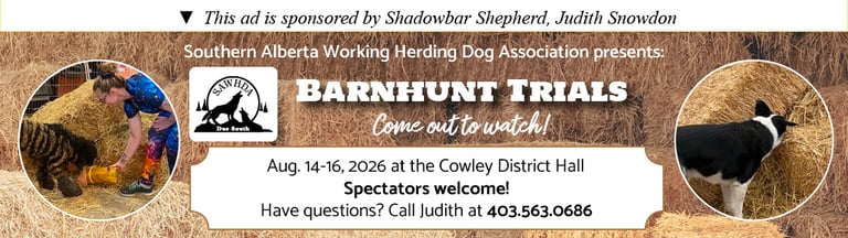 Barnhunt Trials, August 2026, SAWDHA, Cowley