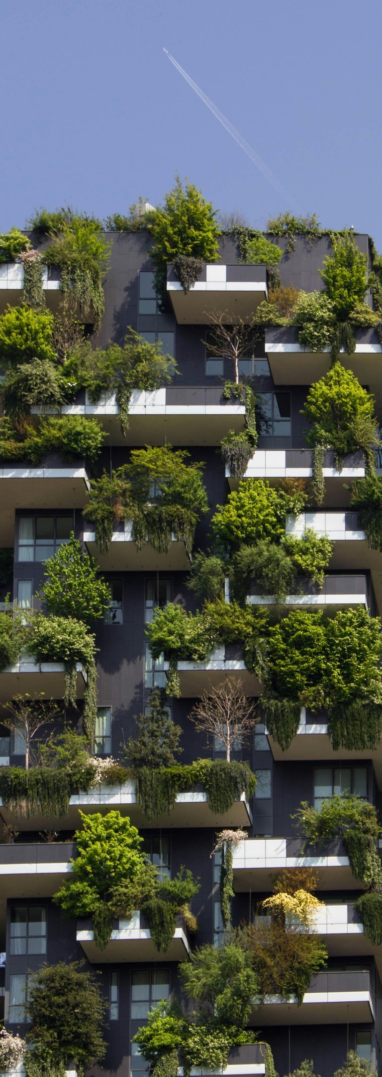 Green building for reducing Urban Heat Island