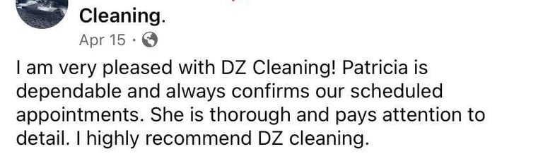 review cleaning services general clean