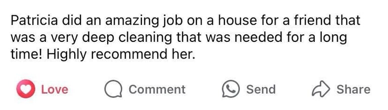 review cleaning services deep clean