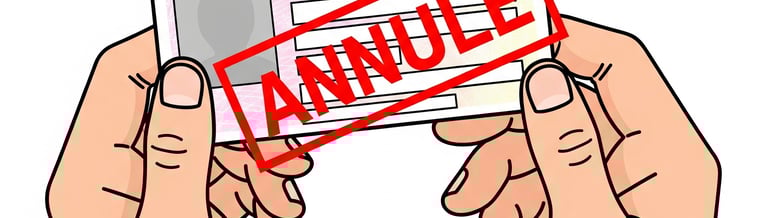 inscription ants annulation permis de conduire