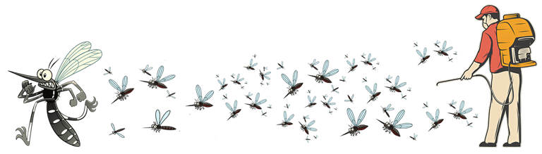 Efficacité prouvée après intervention SuperMoustique