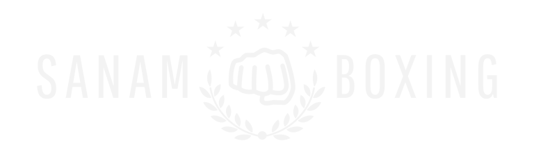 LOGO SANAM BOXING