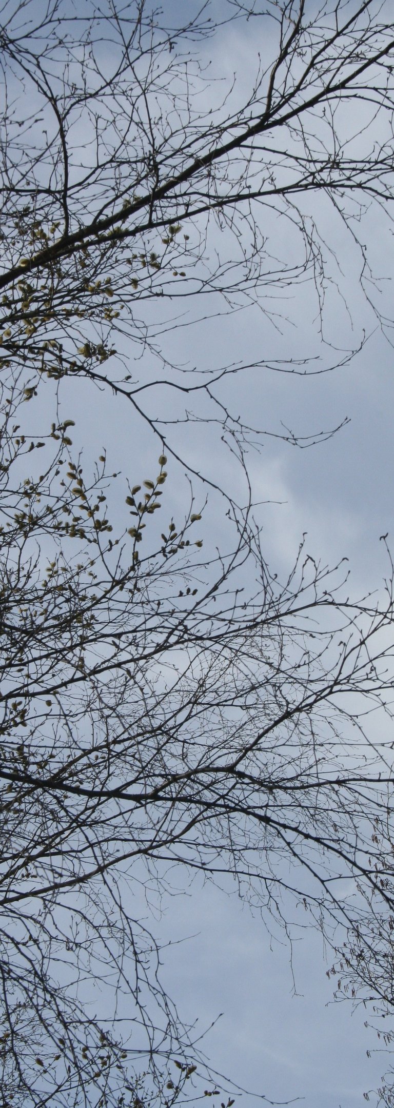 Photography by Nathalie M.L. Römer. All rights reserved.  Used with permission.