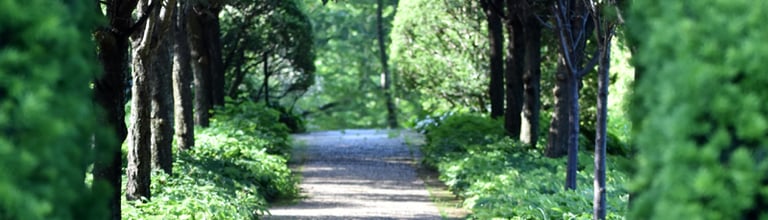 Coaching in Nature image